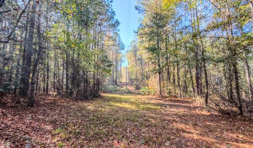 Photo #28 of SOLD property in 265 Aiken Rd., Vass, NC 7.0 acres