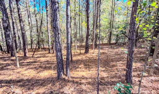 Photo #37 of SOLD property in 265 Aiken Rd., Vass, NC 7.0 acres