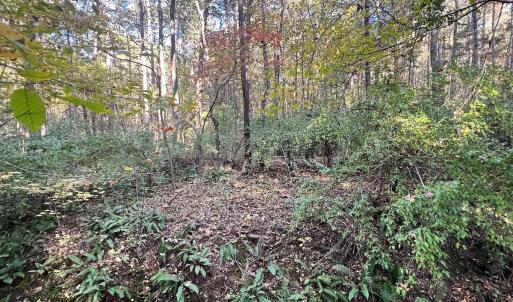Photo #13 of SOLD property in Off of Piney Grove Road, Alton, VA 7.0 acres
