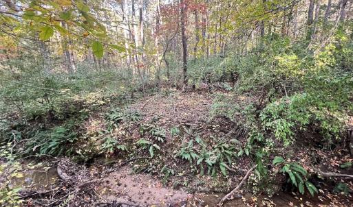 Photo #14 of SOLD property in Off of Piney Grove Road, Alton, VA 7.0 acres