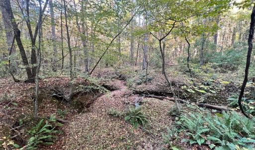 Photo #15 of SOLD property in Off of Piney Grove Road, Alton, VA 7.0 acres