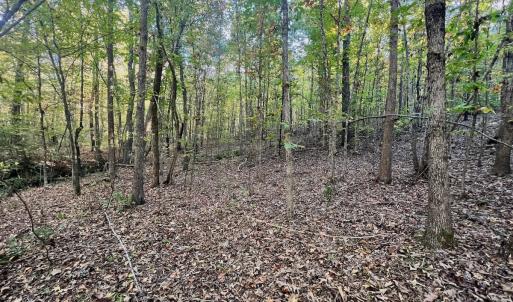 Photo #16 of SOLD property in Off of Piney Grove Road, Alton, VA 7.0 acres