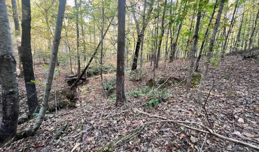 Photo #17 of SOLD property in Off of Piney Grove Road, Alton, VA 7.0 acres