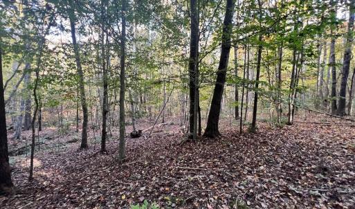Photo #19 of SOLD property in Off of Piney Grove Road, Alton, VA 7.0 acres