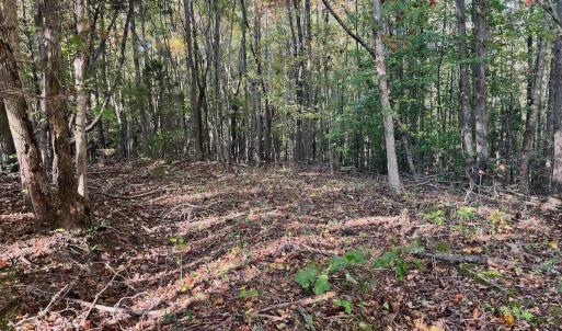 Photo #4 of SOLD property in Off of Piney Grove Road, Alton, VA 7.0 acres