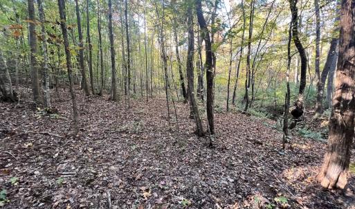 Photo #7 of SOLD property in Off of Piney Grove Road, Alton, VA 7.0 acres