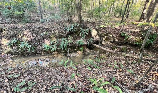 Photo #10 of SOLD property in Off of Piney Grove Road, Alton, VA 7.0 acres
