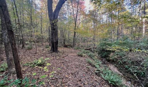 Photo #11 of SOLD property in Off of Piney Grove Road, Alton, VA 7.0 acres