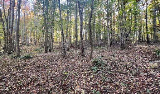 Photo #23 of SOLD property in Off of Piney Grove Road, Alton, VA 7.0 acres
