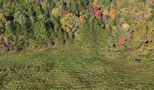 Photo #29 of SOLD property in Off of Piney Grove Road, Alton, VA 7.0 acres