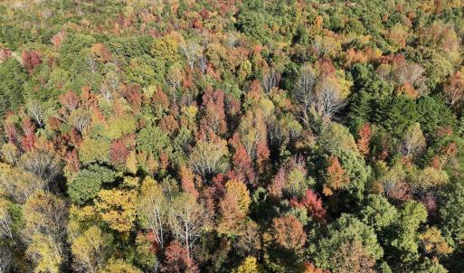 Photo #38 of SOLD property in Off of Piney Grove Road, Alton, VA 7.0 acres