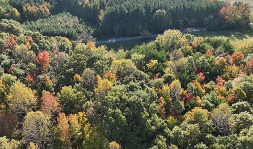 Photo #39 of SOLD property in Off of Piney Grove Road, Alton, VA 7.0 acres