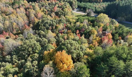 Photo #40 of SOLD property in Off of Piney Grove Road, Alton, VA 7.0 acres