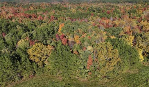 Photo #30 of SOLD property in Off of Piney Grove Road, Alton, VA 7.0 acres