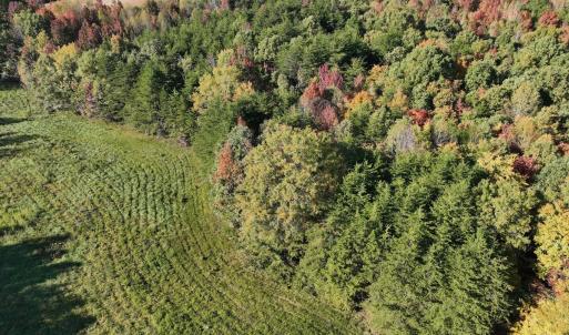 Photo #33 of SOLD property in Off of Piney Grove Road, Alton, VA 7.0 acres
