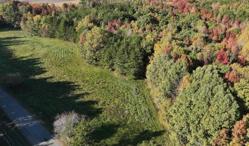 Photo #34 of SOLD property in Off of Piney Grove Road, Alton, VA 7.0 acres