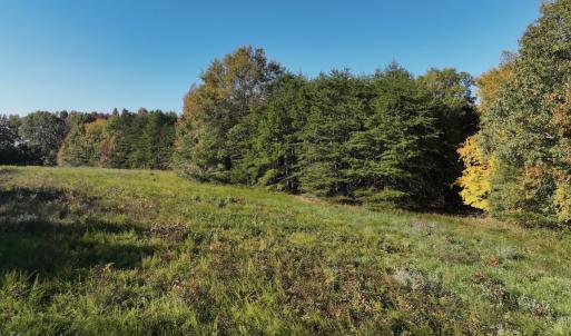 Photo #37 of SOLD property in Off of Piney Grove Road, Alton, VA 7.0 acres
