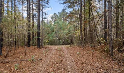 Photo #15 of SOLD property in Off Ronald Tharrington Rd, Louisburg, NC 35.4 acres
