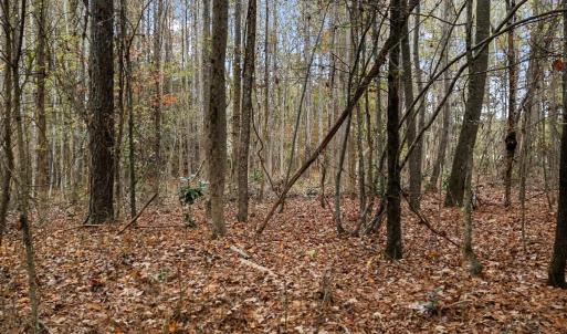 Photo #16 of SOLD property in Off Ronald Tharrington Rd, Louisburg, NC 35.4 acres