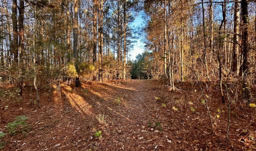 Photo #19 of SOLD property in Off Ronald Tharrington Rd, Louisburg, NC 35.4 acres