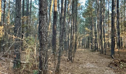 Photo #21 of SOLD property in Off Ronald Tharrington Rd, Louisburg, NC 35.4 acres