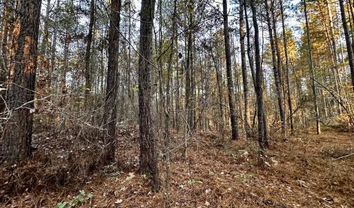 Photo #22 of SOLD property in Off Ronald Tharrington Rd, Louisburg, NC 35.4 acres