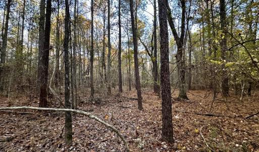 Photo #24 of SOLD property in Off Ronald Tharrington Rd, Louisburg, NC 35.4 acres