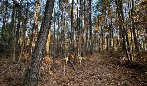 Photo #25 of SOLD property in Off Ronald Tharrington Rd, Louisburg, NC 35.4 acres