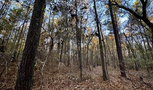 Photo #26 of SOLD property in Off Ronald Tharrington Rd, Louisburg, NC 35.4 acres