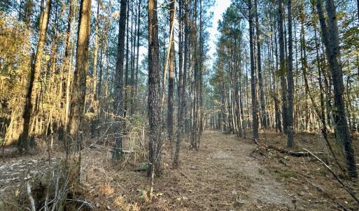 Photo #28 of SOLD property in Off Ronald Tharrington Rd, Louisburg, NC 35.4 acres