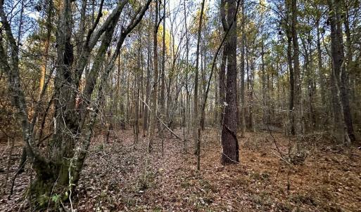 Photo #30 of SOLD property in Off Ronald Tharrington Rd, Louisburg, NC 35.4 acres