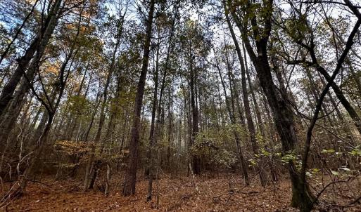 Photo #31 of SOLD property in Off Ronald Tharrington Rd, Louisburg, NC 35.4 acres
