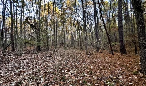 Photo #32 of SOLD property in Off Ronald Tharrington Rd, Louisburg, NC 35.4 acres