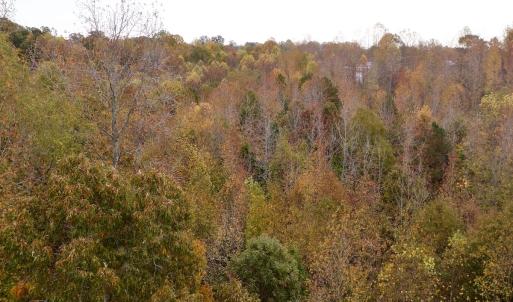Photo #10 of Off Swing Dairg Road, Lexington, NC 27.1 acres