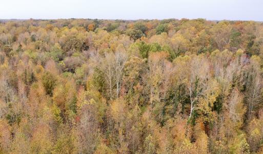 Photo #11 of Off Swing Dairg Road, Lexington, NC 27.1 acres