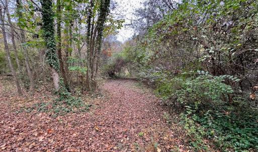 Photo #12 of Off Swing Dairg Road, Lexington, NC 27.1 acres