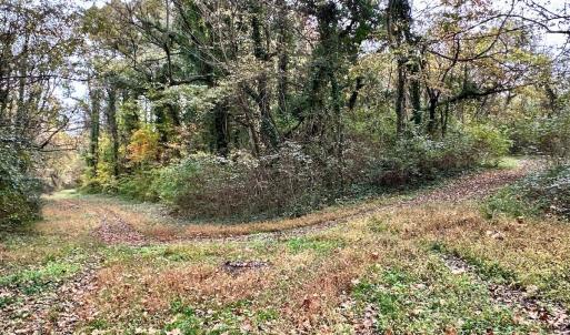 Photo #13 of Off Swing Dairg Road, Lexington, NC 27.1 acres