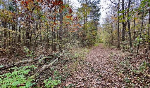 Photo #16 of Off Swing Dairg Road, Lexington, NC 27.1 acres