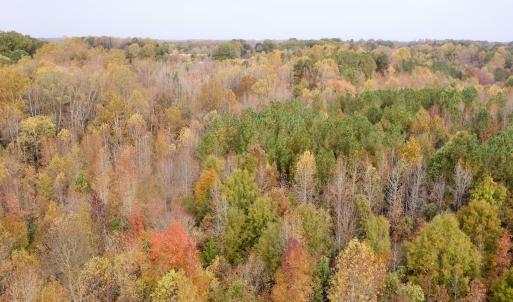 Photo #18 of Off Swing Dairg Road, Lexington, NC 27.1 acres