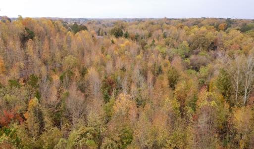Photo #19 of Off Swing Dairg Road, Lexington, NC 27.1 acres