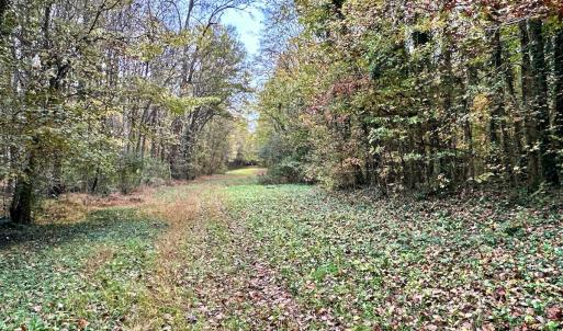 Photo #20 of Off Swing Dairg Road, Lexington, NC 27.1 acres