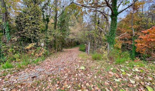 Photo #5 of Off Swing Dairg Road, Lexington, NC 27.1 acres