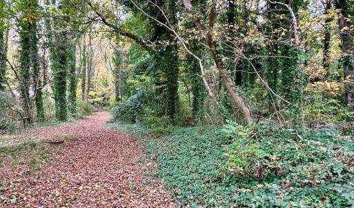 Photo #6 of Off Swing Dairg Road, Lexington, NC 27.1 acres