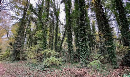 Photo #7 of Off Swing Dairg Road, Lexington, NC 27.1 acres