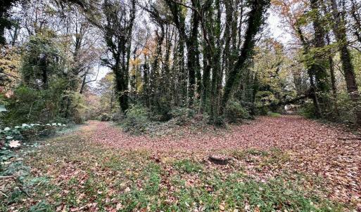 Photo #8 of Off Swing Dairg Road, Lexington, NC 27.1 acres