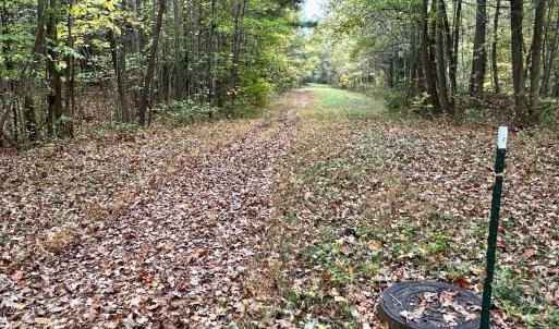Photo #21 of Off Swing Dairg Road, Lexington, NC 27.1 acres