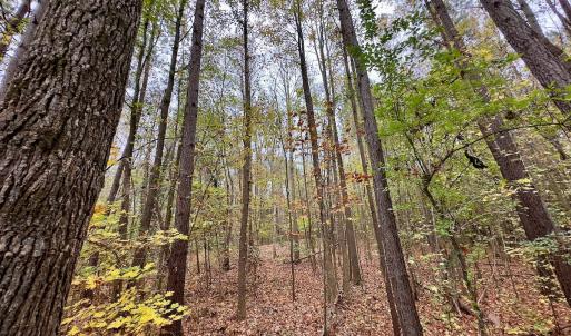 Photo #23 of Off Swing Dairg Road, Lexington, NC 27.1 acres