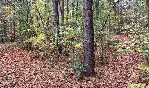 Photo #24 of Off Swing Dairg Road, Lexington, NC 27.1 acres