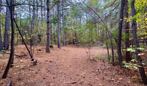 Photo #25 of Off Swing Dairg Road, Lexington, NC 27.1 acres