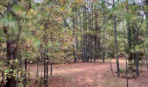 Photo #26 of Off Swing Dairg Road, Lexington, NC 27.1 acres